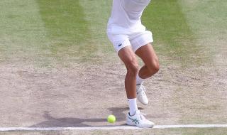 温网男单决赛2022